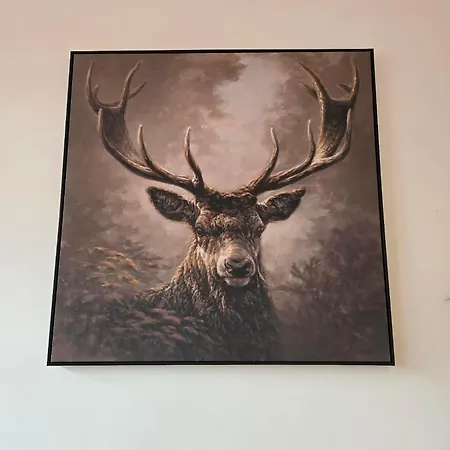 Hardanger Living Apartamento *